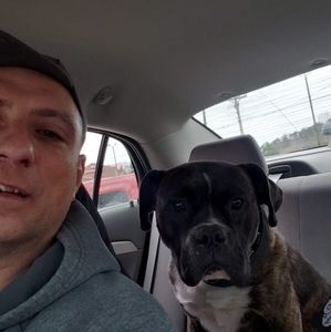 Meet your Posher, Wilson